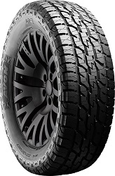 255/55R19