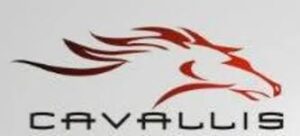 Cavallis Tyres